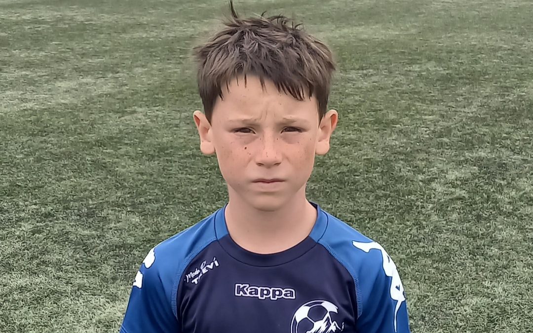 Protégé : Fiche Swan MILLER