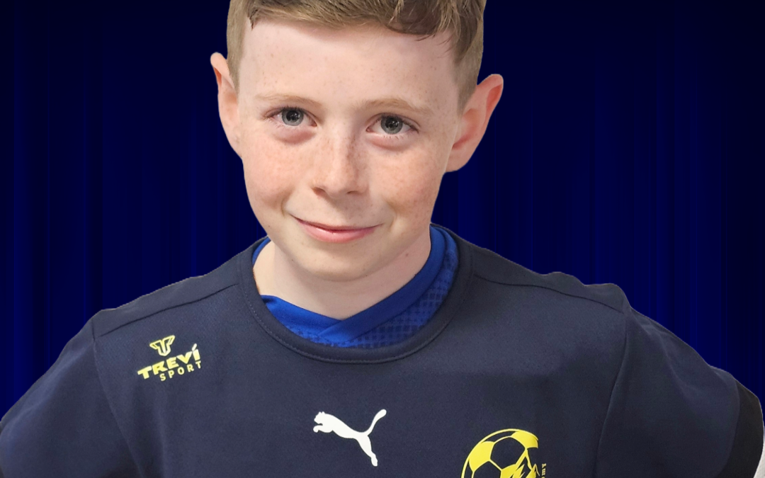 Protégé : Fiche Pierre DESSIS